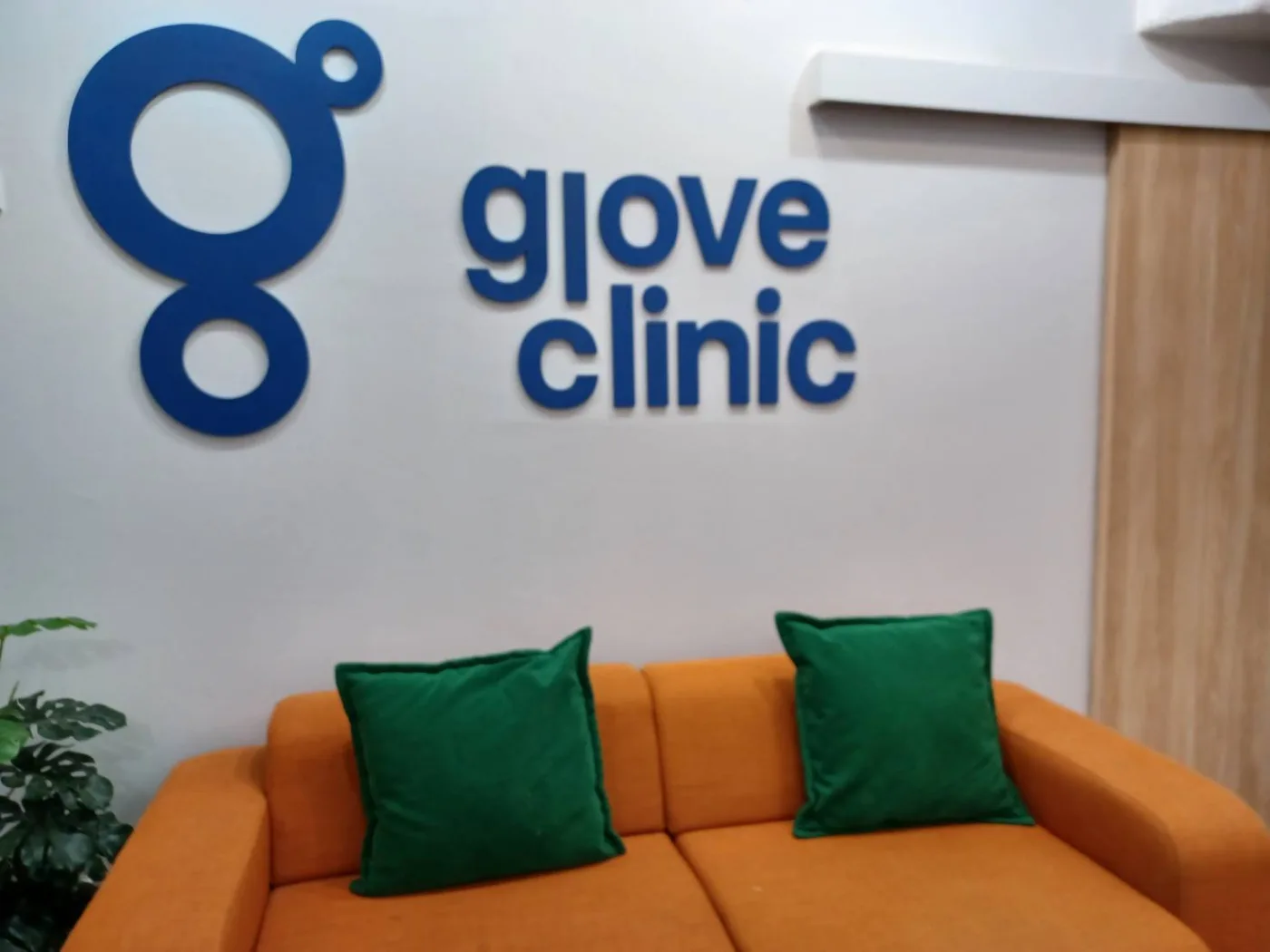 Photo of Glove