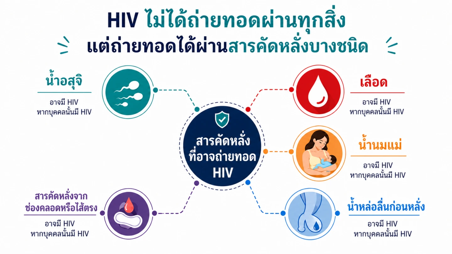 ของเหลวบางชนิดเท่านั้นที่ถ่ายทอด HIV ได้