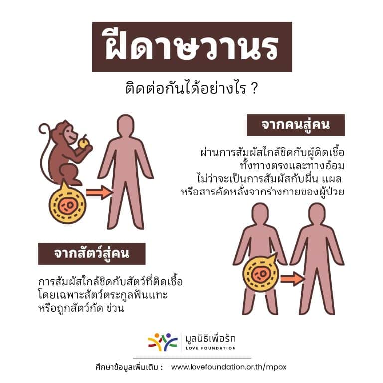 อินโฟกราฟิก Mpox แผ่นที่ 2