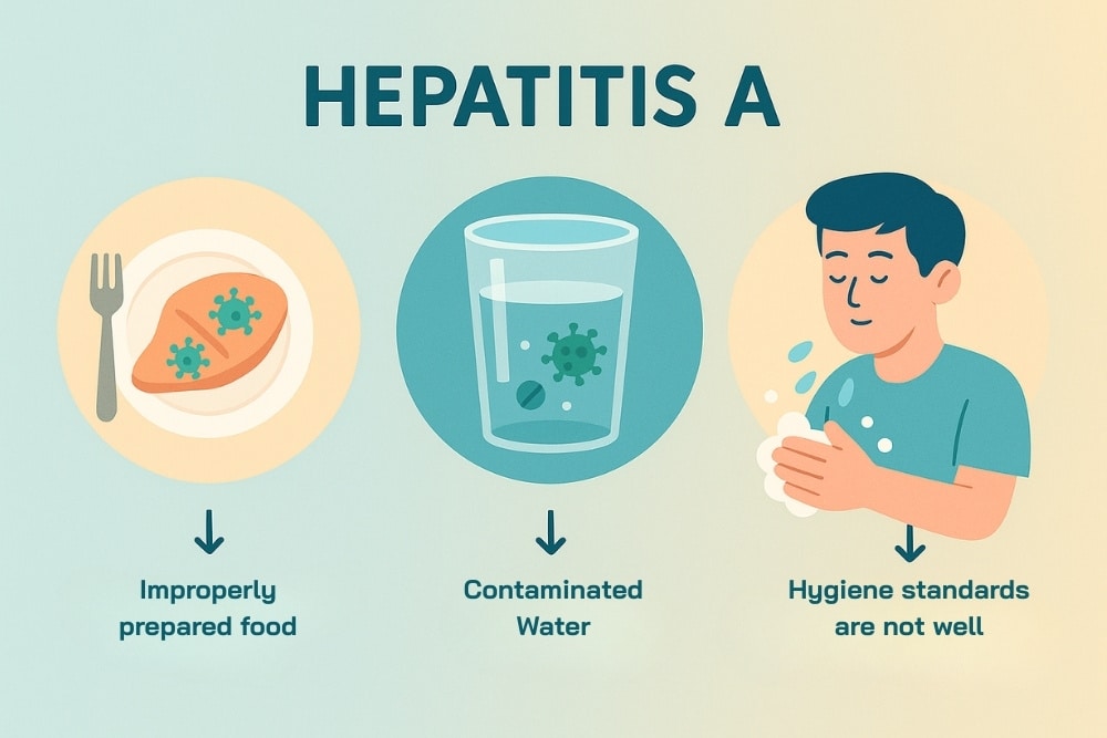 Hepatitis A Transmission Symptoms Treatment
