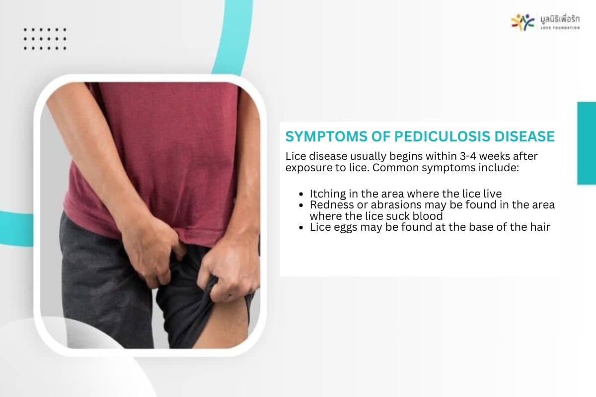 Symptoms of Pediculosis disease