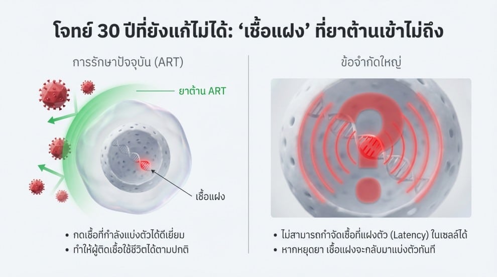 ระบบตัดต่อยีน HIV นวัตกรรมที่ออกแบบมาเพื่อมุ่งเป้าหาเชื้อ