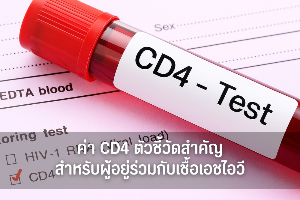 ค่า CD4 ตัวชี้วัดสำคัญสำหรับผู้ติดเชื้อ HIV เข้าใจความสำคัญ และวิธีดูแล
