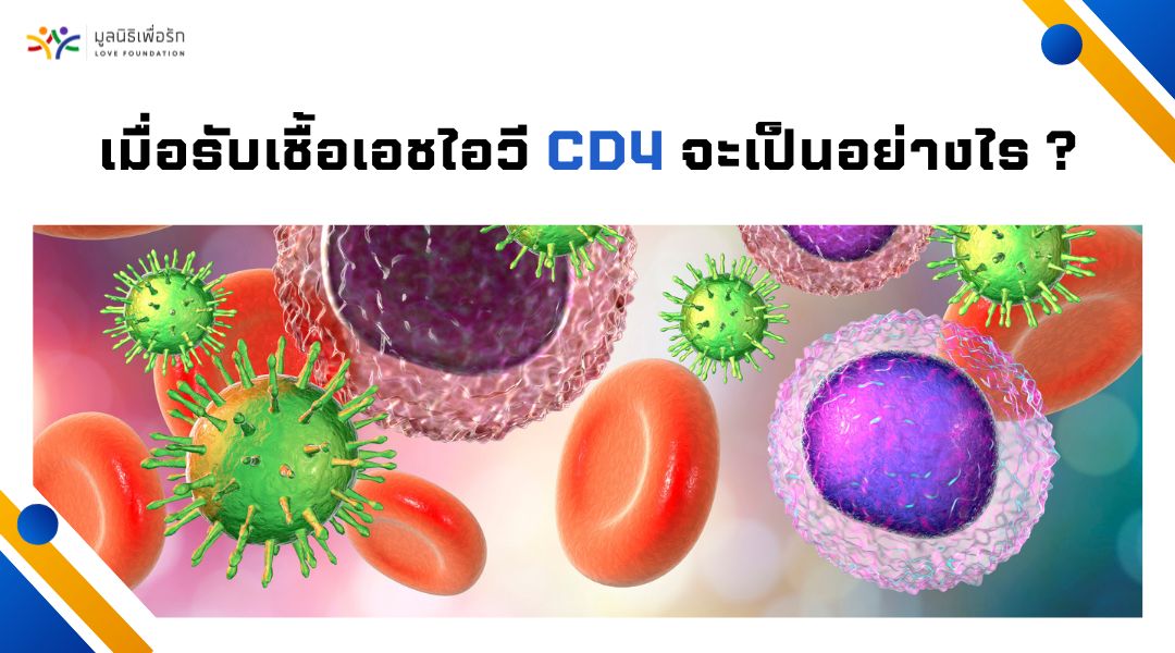 เมื่อรับเชื้อเอชไอวี CD4 จะเป็นอย่างไร