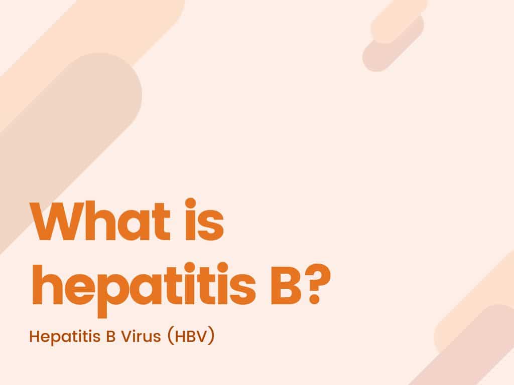 What is hepatitis B