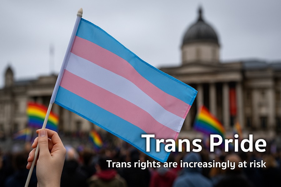 Trans Pride Trans rights are increasingly at risk