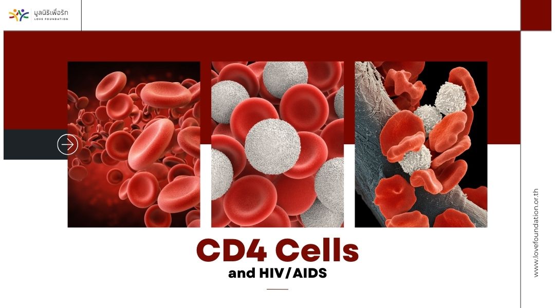 CD4 Cells and HIVAIDS