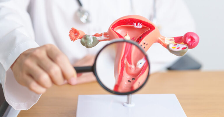 Reproductive Anatomy