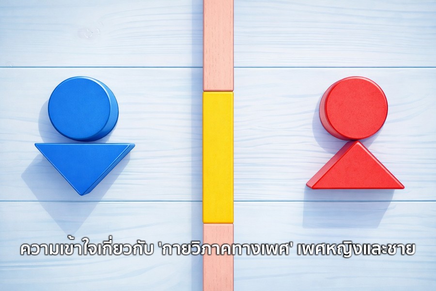 ความเข้าใจเกี่ยวกับ กายวิภาคทางเพศ เพศหญิงและชาย
