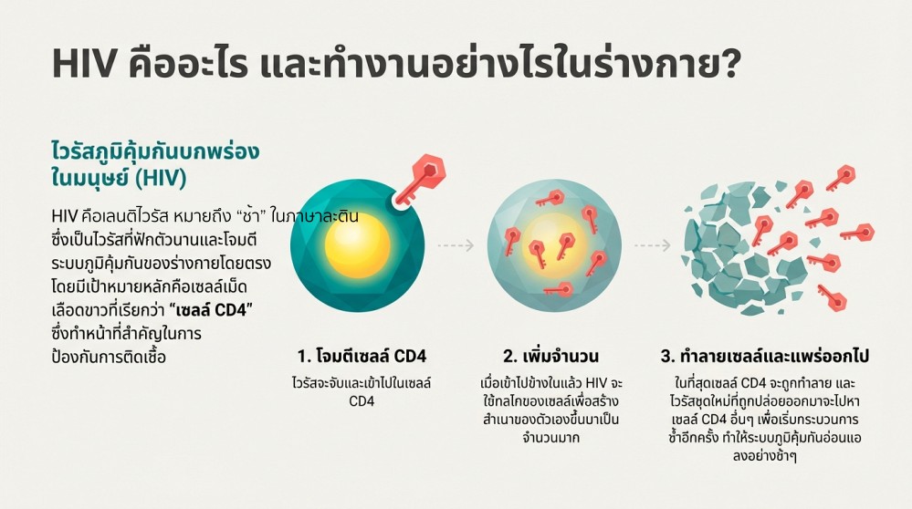 HIV ย่อมาจากไวรัสภูมิคุ้มกันบกพร่อง