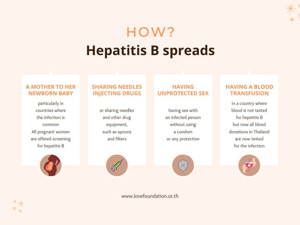 Hepatitis-B-spreads