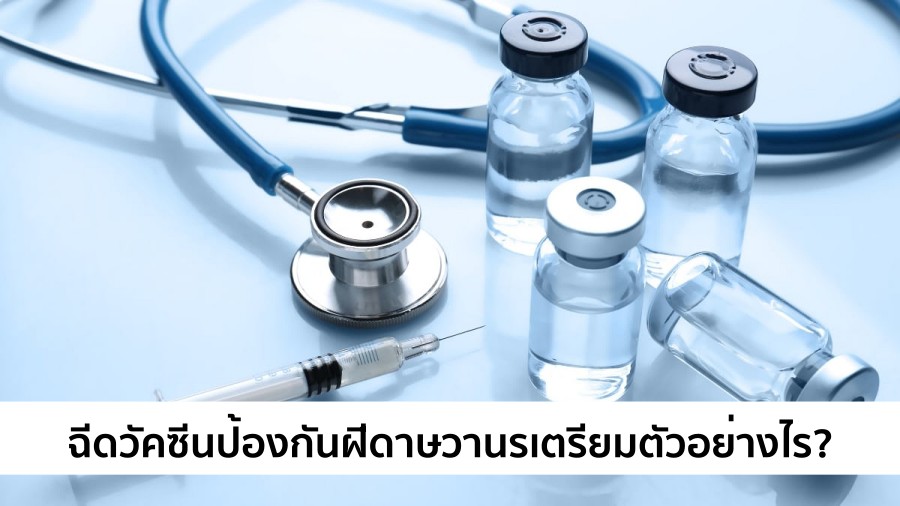 ฉีดวัคซีนป้องกัน ฝีดาษวานร ต้องเตรียมตัวอย่างไร